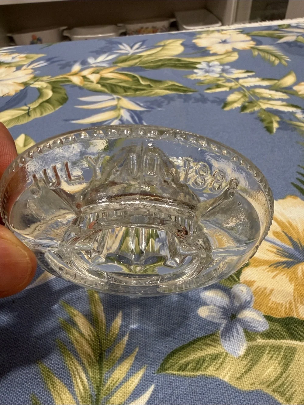 Clear Glass Citrus Press - Classic Handheld Reamer